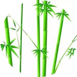 所有关于竹子的诗句