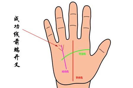 如何从手掌中的成功线看运势