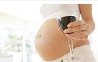 备孕为什么不能喝酒 