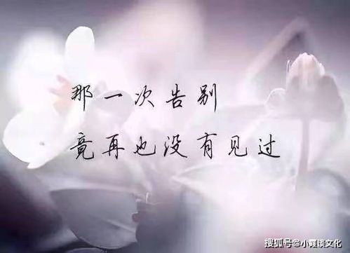 一个人心酸委屈的说说,句句戳中泪点,让无数人哭红了眼眶