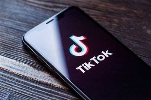 tiktok已注册无法登陆_TikTok手机环境