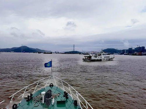 遏重大 保安全 舟山市海上船舶专项整治行动进行时 首周已查处违法船舶244艘