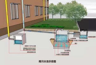 西渡街道雨污分流改造工程即将启动