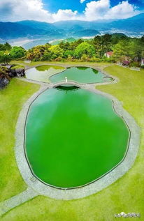 龙岩云顶茶园(龙岩一日游可去哪)