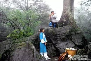 乘电梯从山脚钻到山顶,来这个景区做一回穿山甲 