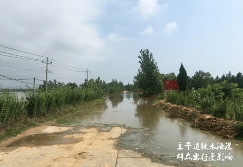 江西九江庐山蓼南乡天气预报