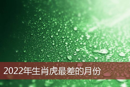 生肖虎运程 生肖虎配对 生肖虎性格 属虎运势 