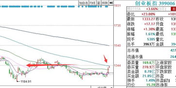 创业板股票最少买多少股，是不是也是100股