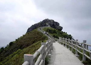 死猪不怕开水烫,天气越热我越浪 速度查看东莞旅游的最新资讯