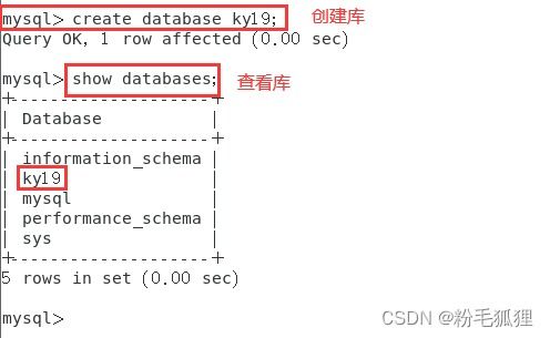 MySQL数据库管理