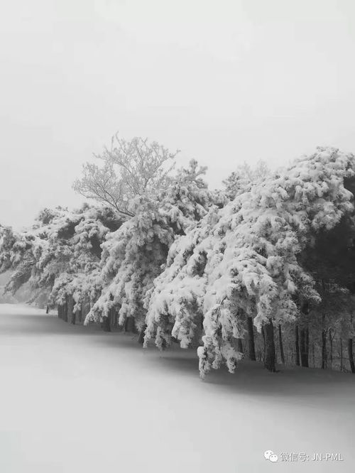 雪是 冬天 霸道总裁的出场方式