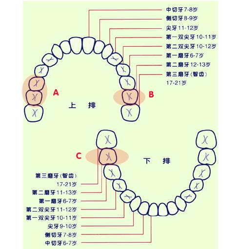 27颗牙齿风水 26楼风水