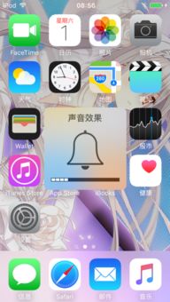 iPhone6外音变的很小,以前声音挺大的,是怎么回事 