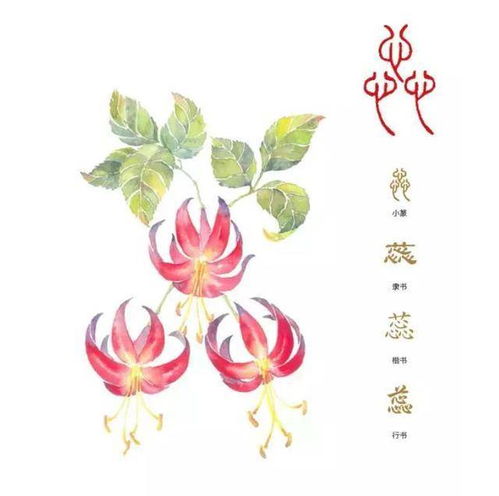 聆听汉字之美 花草字传 ,了解 蕊