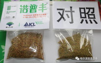 重要更新！如何合法卖进口香烟“凤头猪肚” - 2 - AH香烟货源网