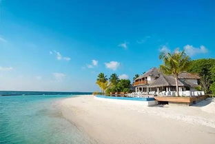 马尔代夫五星岛酒店推荐这些岛屿你不可错过！（马尔代夫四星级岛屿）