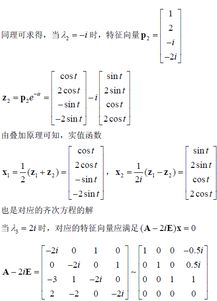 一阶微分方程本科毕业论文