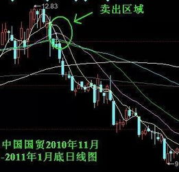 股票培训机构的老师他们自己炒不炒股？