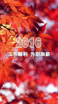 2015年即将过去,今夜你需要什么 