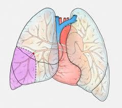 肺栓塞病人如何护理