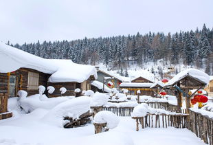 雪乡旅游攻略三天 (雪乡一日游攻略)