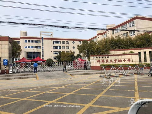 蚌埠延安二路小学排名