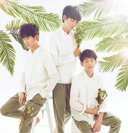 怎么评价TFBOYS 