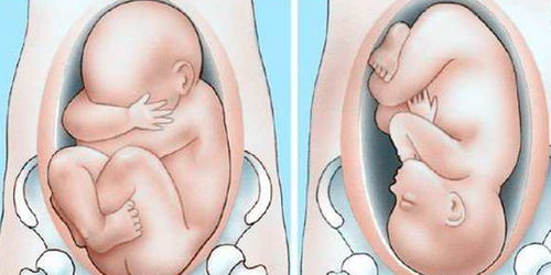 原创孕期有这些表现可能是营养不良，要注意，尽量不要对胎儿造成影响