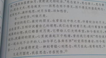 那段时光那段情作文1000字