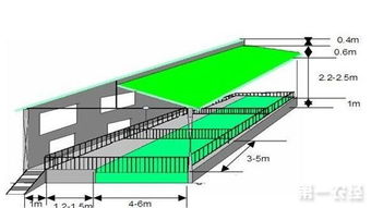 猪舍的建筑形式有哪几种 猪舍建造介绍