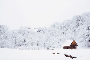 谷城新闻网 一年只美3个月 这个土味山村一下雪就美成了 中国札幌 