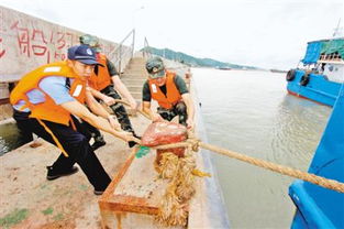 摩羯 昨夜登陆温岭 江浙沪今年为何台风多 