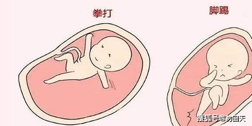 怀孕后如果出现这5种情况,说明胎发育良好,宝妈们别担心