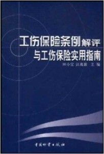 如何理解工伤保险条例三十三条(工伤保险管理条例33条的简单介绍)