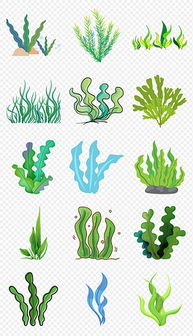 PNG卡通海藻 PNG格式卡通海藻素材图片 PNG卡通海藻设计模板 我图网 