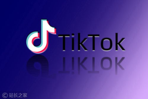 谷歌商店下载tiktok_Tiktok推广