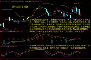 钢铁股什么时候能上涨啊