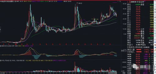 中信证券在05-07牛市为什么涨的那么高