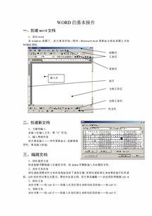 word基础操作的重点(基本word操作知识点)