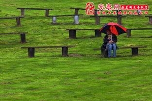 梦见山上下雨