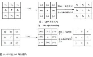 基于局部定向模式的CLDP算法改进人脸识别性能 