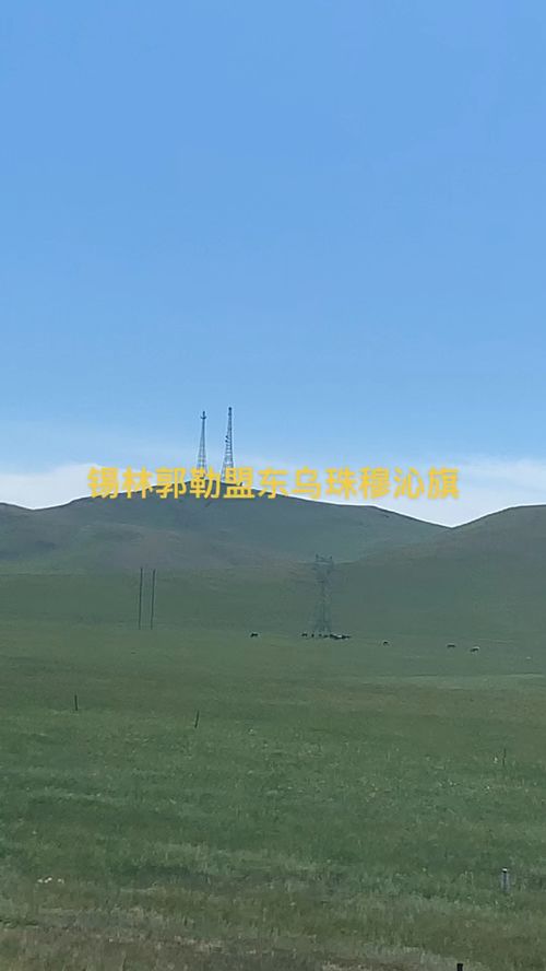 内蒙古锡林郭勒东乌珠穆沁旗天气预报
