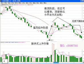 股票中，脉冲式，一日游是什么意思吖?