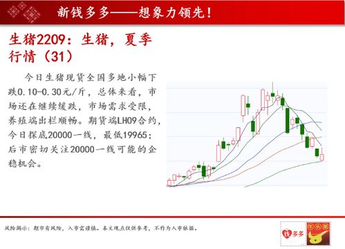 期货三大油脂哪个好交易