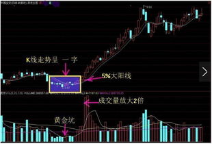 为什么我今天看见一支涨了15%点多的股票，不是涨幅限制是10%吗？例如031006