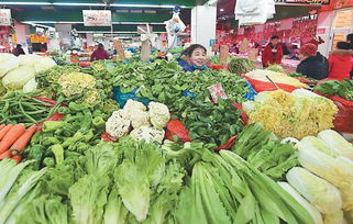 为什么今年冬天蔬菜价格暴涨