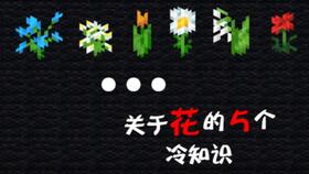 Minecraft1.13.2原版生存第3集