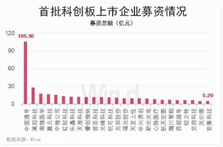 科创板股票竞价涨跌幅为