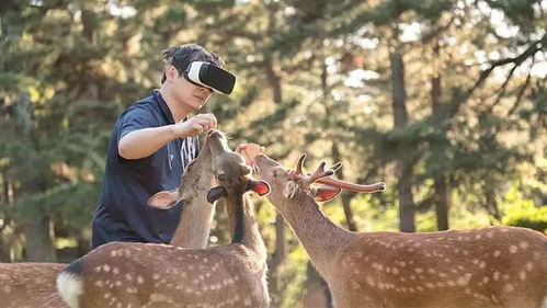 唤醒人类保护意识,VR为野生动物保驾护航