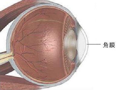 眼角膜溃疡有什么好的药品可以医治  第1张